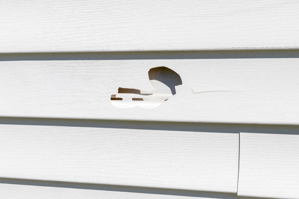 Historical Building Siding Restoration in Colfax, LA